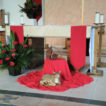 Altar decorated for Palm Sunday