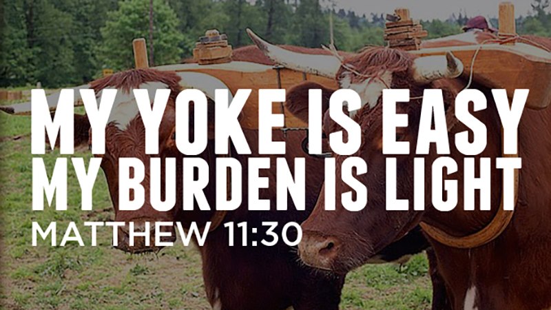 Yoke is easy and burden is light